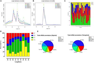 Combined Analysis of MicroRNAs and Target Genes Revealed miR156-SPLs and miR172-AP2 Are Involved in a Delayed Flowering Phenomenon After Chromosome Doubling in Black Goji (Lycium ruthencium)